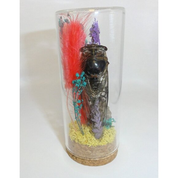 Cicada Wasp Nest & Carpenter Bee Oddity Jar curiosity dome insect taxidermy goth - Picture 12 of 15